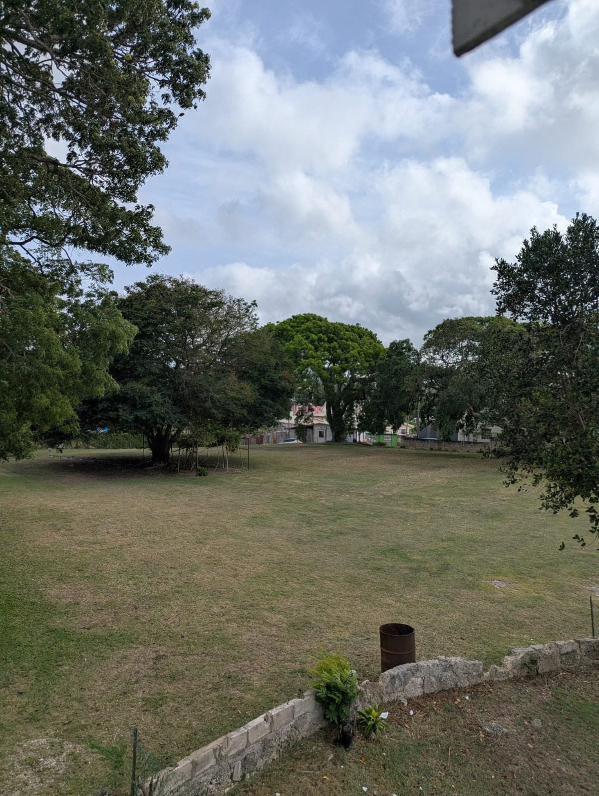 Open grassy field with scattered trees, stone boundary in foreground, residential buildings visible in background under cloudy sky at Jackson House Grounds
