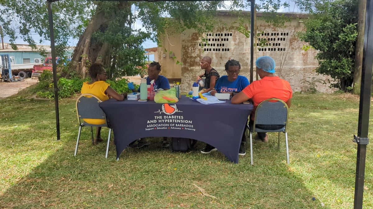 Group of people seated at a table outdoors in a grassy area with trees, at a community gathering