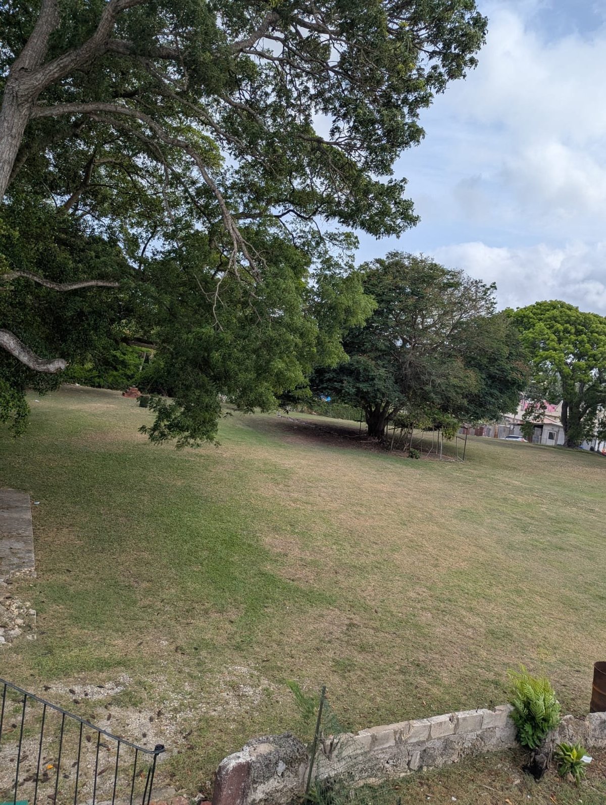 Open grassy field with large shade trees, stone wall fence in foreground, and rural buildings visible in the distance under a partly cloudy sky at Jackson House Grounds, St. Michael, Barbados