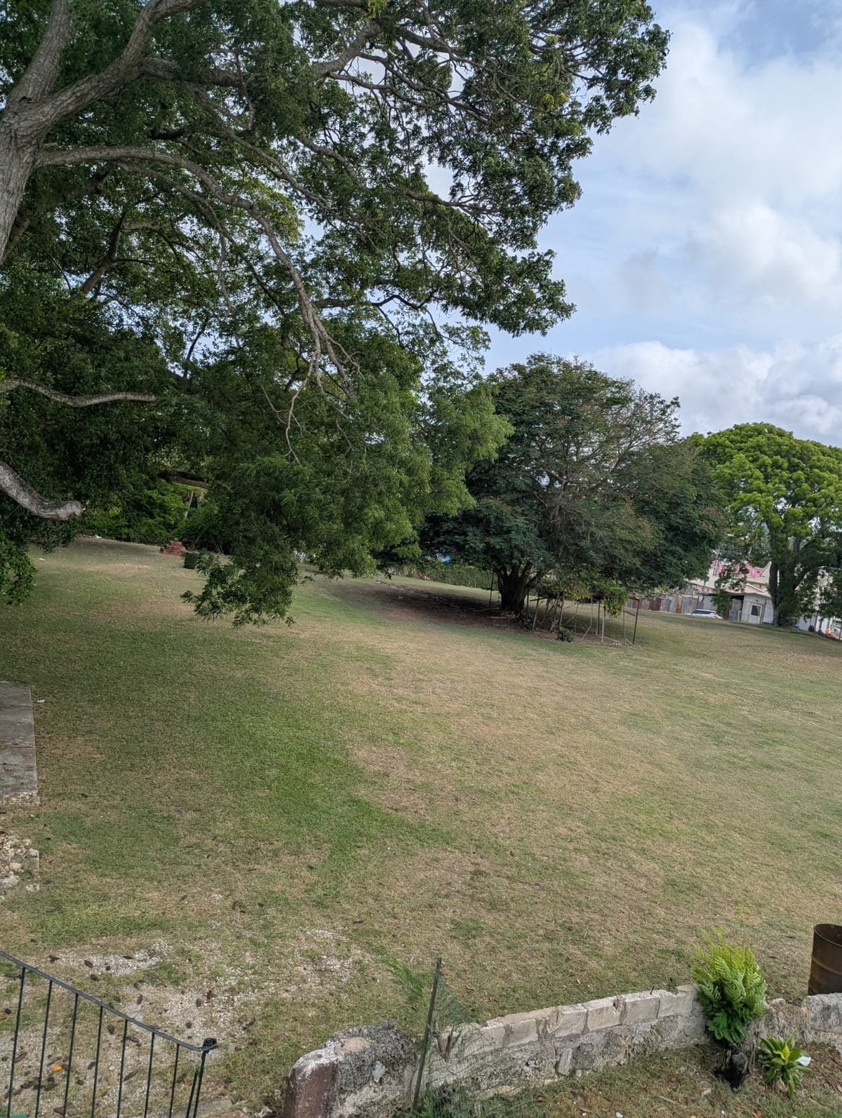 Green lawn with mature trees and stone wall in foreground, residential area visible in background under cloudy sky at Jackson House Grounds